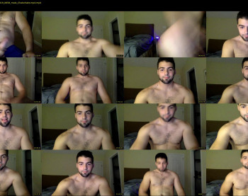 italianstallion252