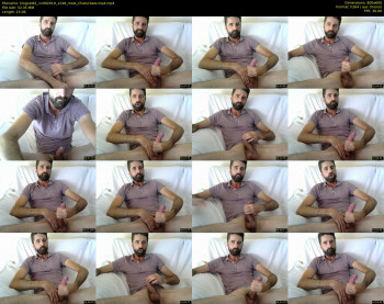 kingcat82