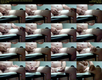 lildogsnow678