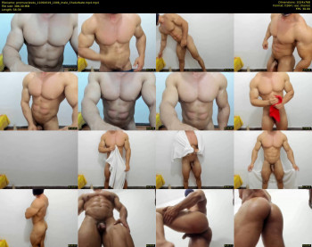 promuscles4u