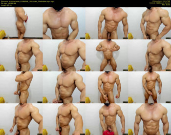 promuscles4u