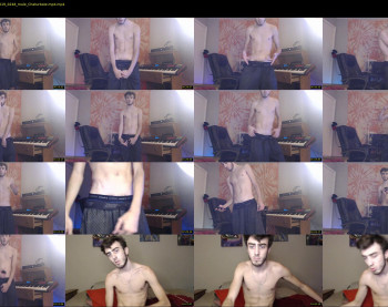 sexual_vibrations