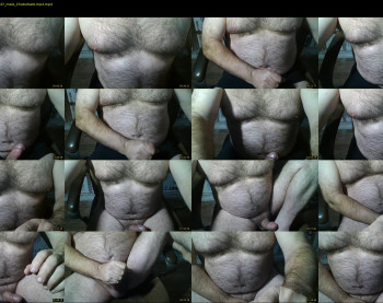 furrybear2