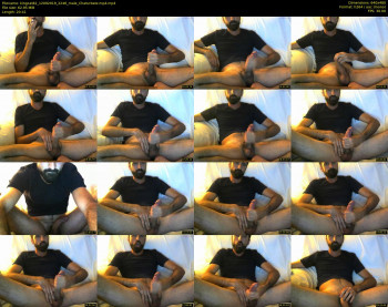 kingcat82