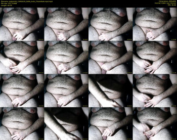 pighair44