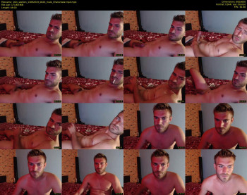 10in_stallion