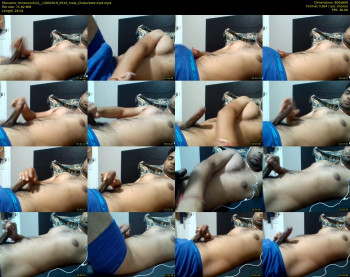 browncock24_