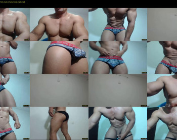 dammuscle