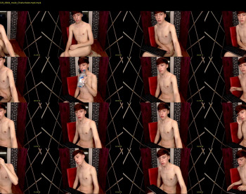 dominik_blossom