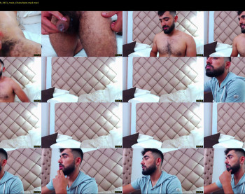 hornybull4ever