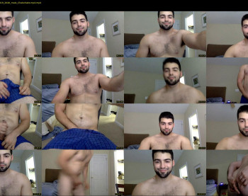 italianstallion252