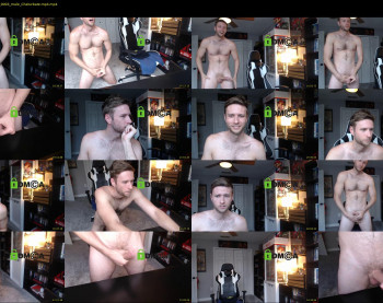 todd_williams