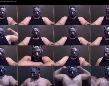 alphadirewolf