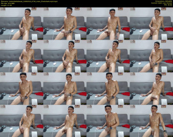 indomitablebeast