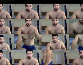 italianstallion252