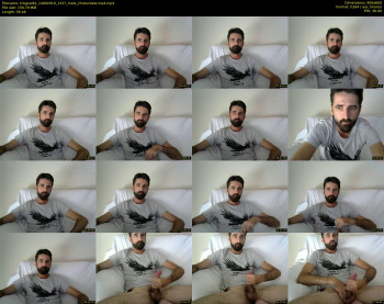 kingcat82
