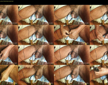 regolo7