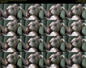 scottbearfun