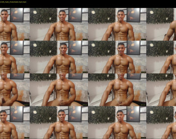 teddyfit19cm