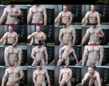 alvin_hunk