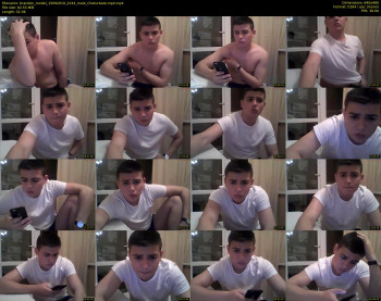 brandon_model