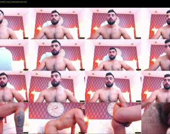 hornybull4ever