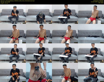 indomitablebeast