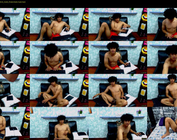 nicols_cams