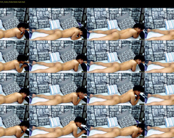 nicols_cams