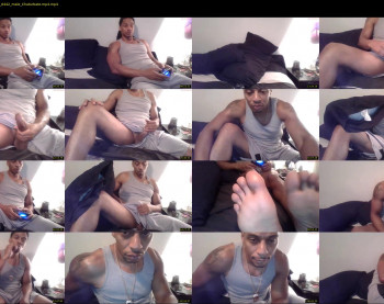 sharkdickwilly