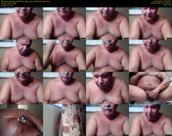 tbear66