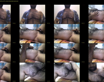 teddybear2302