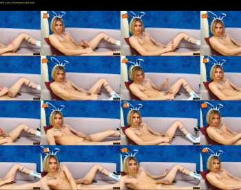 adam_main