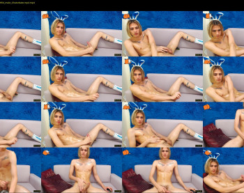 adam_main