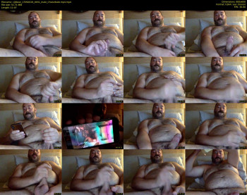 cjbbear