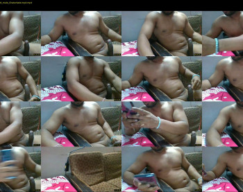 delhibull_