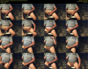 handyaandy