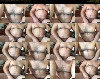 impalass59