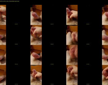 xxxhornybear99xxx