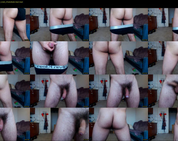 pegas92