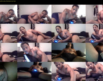 sharkdickwilly