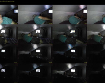 wildwilly10
