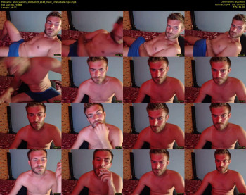 10in_stallion