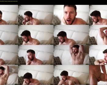 about_the_bulge