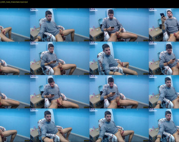 davidsunsugar
