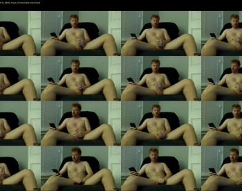 mygingerdong4u
