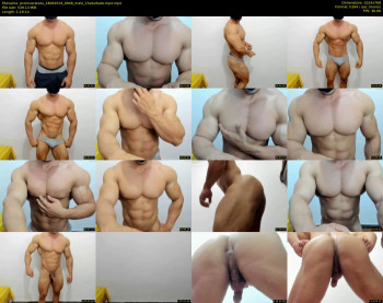 promuscles4u