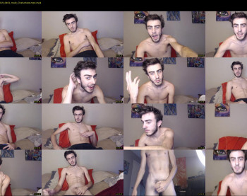 sexual_vibrations