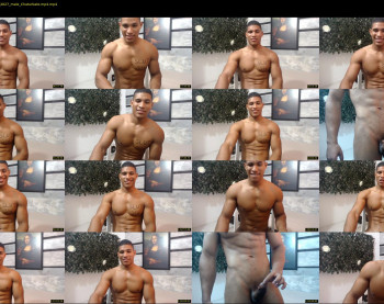 teddyfit19cm