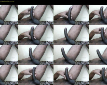 begdeek1